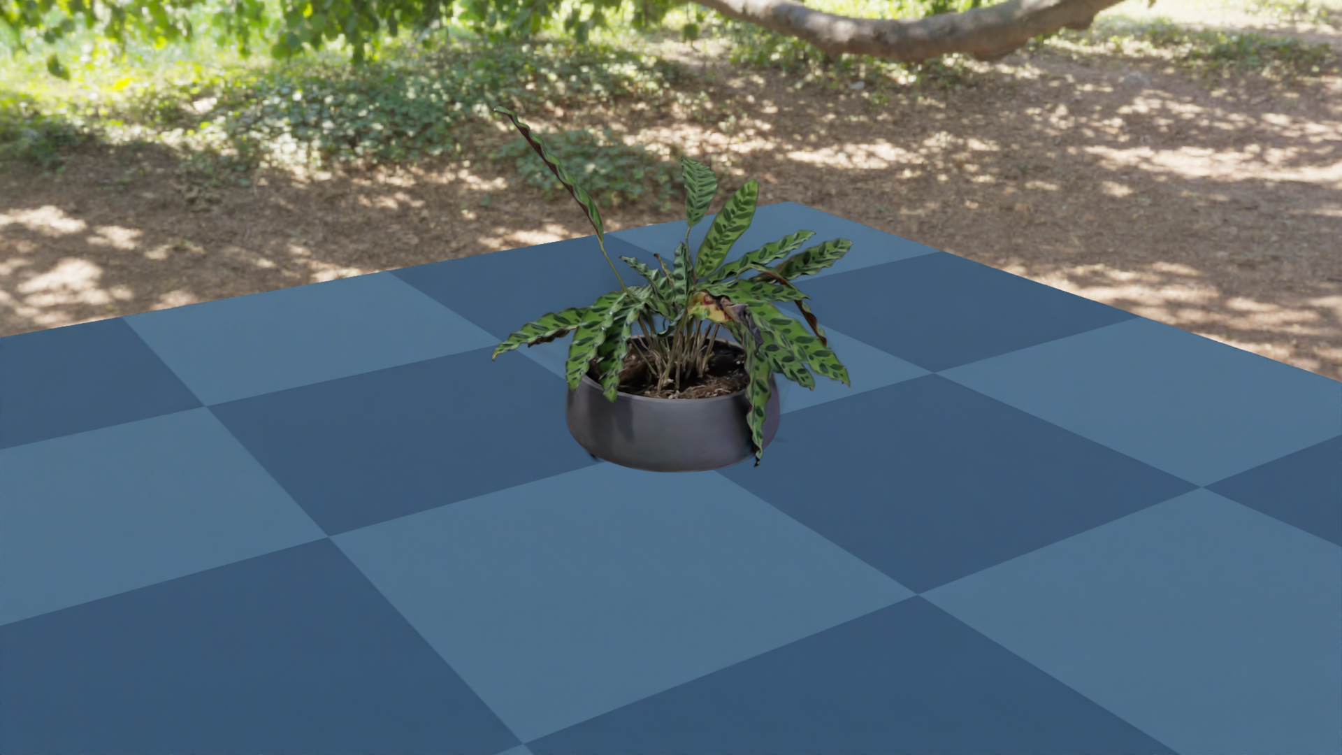 A captured plant Gaussian splat sitting on a Genesis World plane, rendered by Nyx